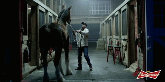 novata-reklama-na-budweiser-za-super-bowl-povtorno-ke-ve-raznezni-3