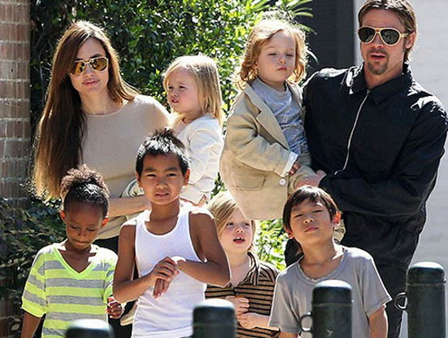 angelina-jolie-gi-izvadi-jajnicite-za-da-go-spreci-rakot-001.jpg