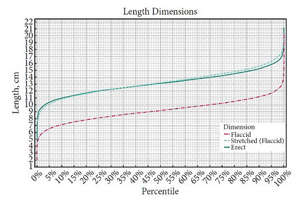 novi-prosecni-dimenzii-za-dolzinata-i-debelinata-na-penisot-1.jpg