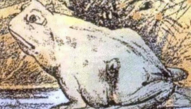zabata-koja-go-polude-svetot-dali-ke-pronajdete-konj-na-slikata-01.jpg