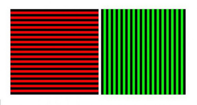 opticka-iluzija-od-koja-kje-vi-pukne-pametot-efektot-kje-trae-i-do-3-meseci-1.jpg