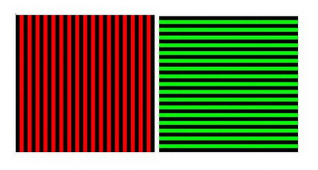 opticka-iluzija-od-koja-kje-vi-pukne-pametot-efektot-kje-trae-i-do-3-meseci-2.jpg