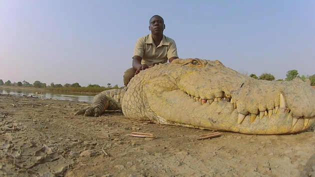 zatoa-sto-od-sekogash-ste-posakuvale-da-galite-krokodil-1.jpg