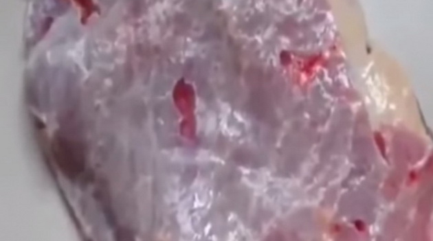 zaradi-ova-video-od-parce-meso-mnogu-luge-resija-da-stanat-vegetarijanci-001.jpg