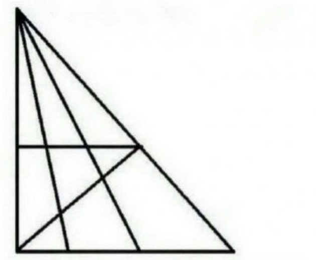 dali-ste-genijalci-ako-najdete-poveke-od-18-triagolnici-togas-ste-natprosecno-inteligentni-02.jpg