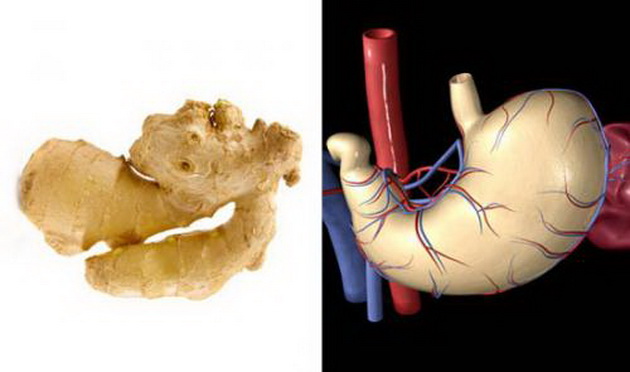 interesna-slucajnost-izgledot-na-plodot-koj-go-jadete-pokazuva-koj-organ-go-leci-8.jpg