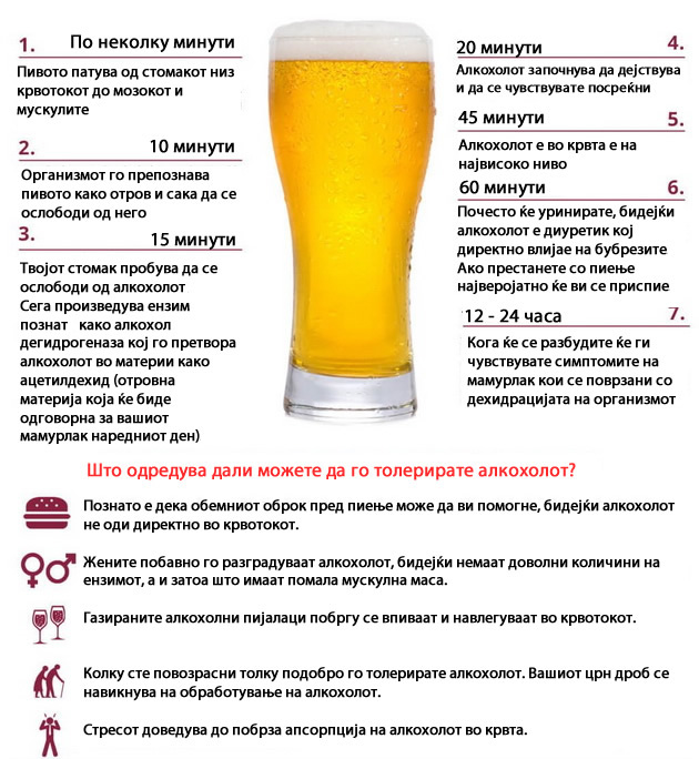 sto-mu-se-slucuva-organizmot-24-casa-po-ispienoto-pivo-001.jpg