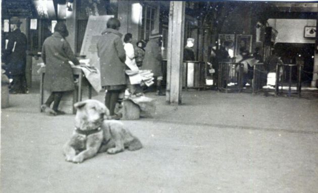 retka-fotografija-od-legendarnoto-kuce-haciko-01