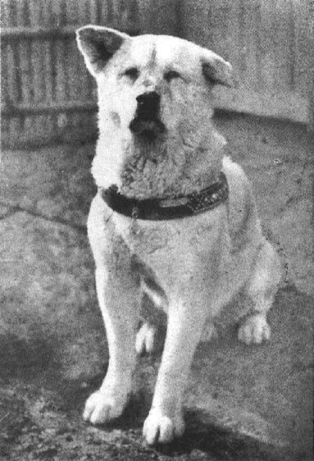retka-fotografija-od-legendarnoto-kuce-haciko-2.jpg