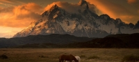 fotografii-koi-ja-slavat-nedoprenata-ubavina-na-patagonija-01-povekje