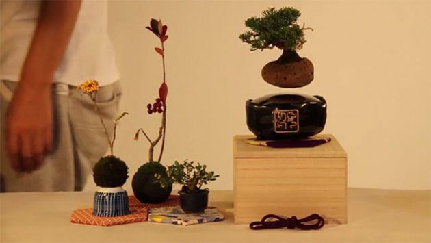 inventiven-proekt-lebdecki-bonsai-drvca-01