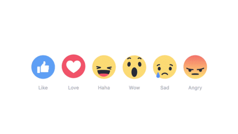 reactions-graphics-video_480.gif.png.gif