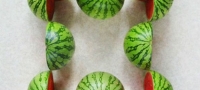 Resete-ja-zagatkata-kolku-lubenici-ima-na-slikata-01-povekje
