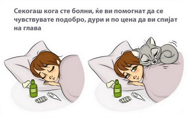 kako-zivotot-vi-stanuva-pointeresen-koga-ke-vdomite-macka-002.jpg