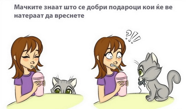 kako-zivotot-vi-stanuva-pointeresen-koga-ke-vdomite-macka-005.jpg