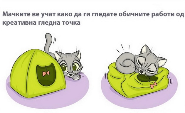 kako-zivotot-vi-stanuva-pointeresen-koga-ke-vdomite-macka-006.jpg