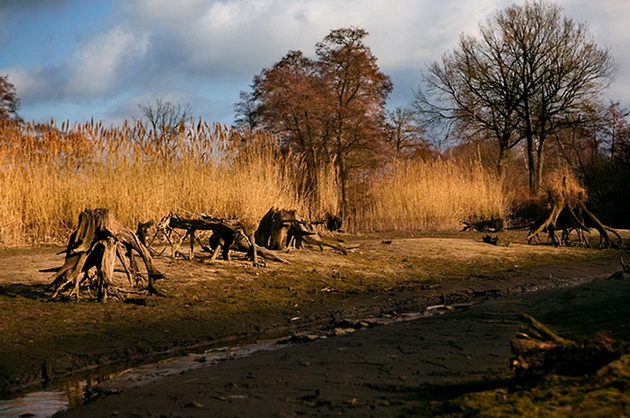 mozete-da-otkriete-kade-se-skrieni-lugjeto-na-ovie-fotografii-01.jpg