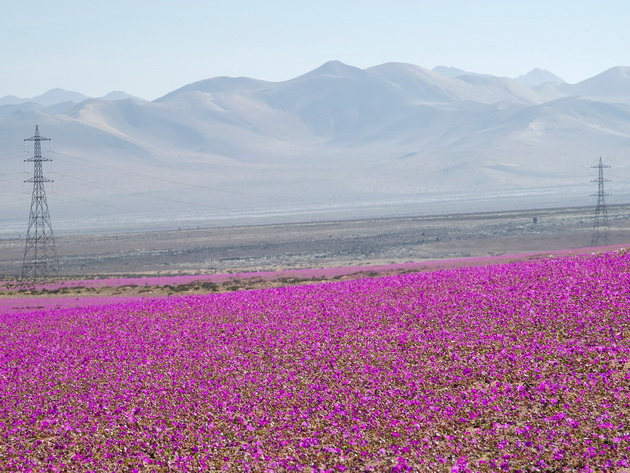 najubavite-pustini-na-planetata-foto-4.jpg