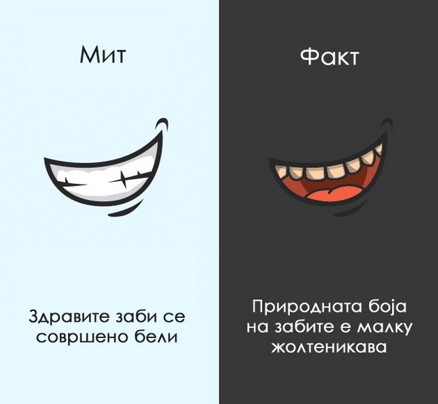 12-mitovi-za-coveckoto-telo-na-koi-morame-da-zaboravime-11.jpg