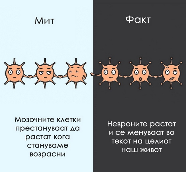 12-mitovi-za-coveckoto-telo-na-koi-morame-da-zaboravime-2.jpg