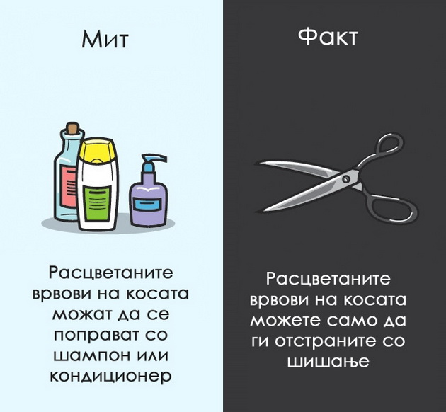 12-mitovi-za-coveckoto-telo-na-koi-morame-da-zaboravime-4.jpg