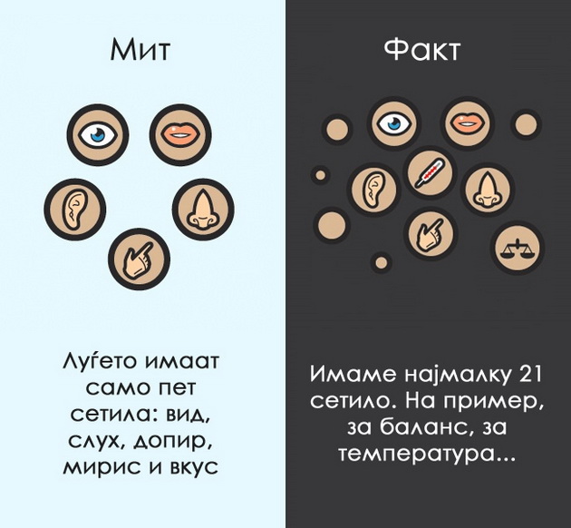 12-mitovi-za-coveckoto-telo-na-koi-morame-da-zaboravime-5.jpg