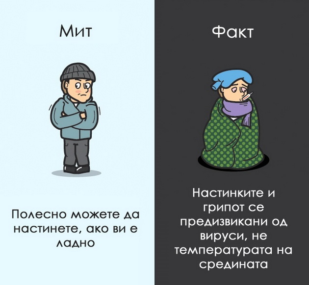 12-mitovi-za-coveckoto-telo-na-koi-morame-da-zaboravime-6.jpg