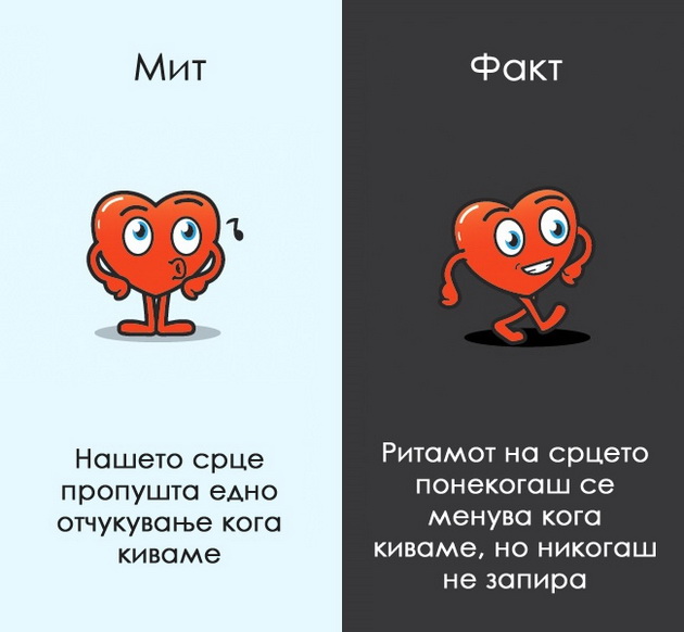 12-mitovi-za-coveckoto-telo-na-koi-morame-da-zaboravime-7.jpg