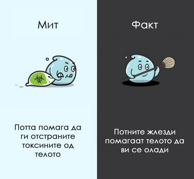 12-mitovi-za-coveckoto-telo-na-koi-morame-da-zaboravime-9.jpg
