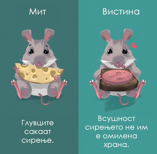 12-mitovi-za-zivotnite-vo-koi-se-uste-veruvame-9_copy.jpg