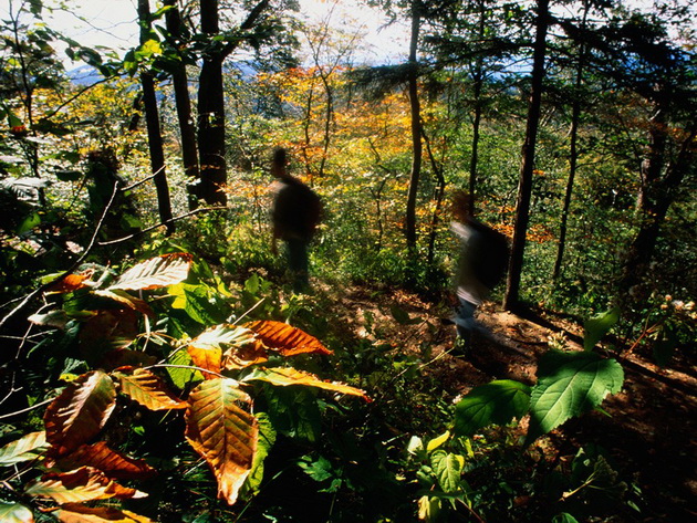 appalachian-trail-tennessee-paul-harris-getty.jpg