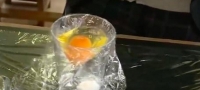 mornicavo-ili-japonski-studenti-izveduvaat-jajce-nadvor-od-lushpata-01-povekje