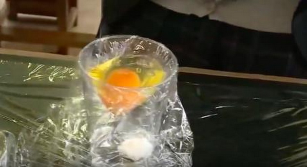 mornicavo-ili-japonski-studenti-izveduvaat-jajce-nadvor-od-lushpata-01.jpeg