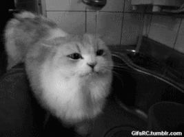 slavime-rodenden-na-gif-pred-29-godini-se-rodi-omilenata-ekstenzija-na-internet-9.gif