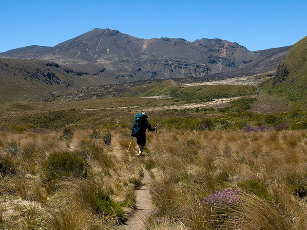 tongariro-northern-circuit-north-island-new-zealand-vincent-lowe-alamy.jpg