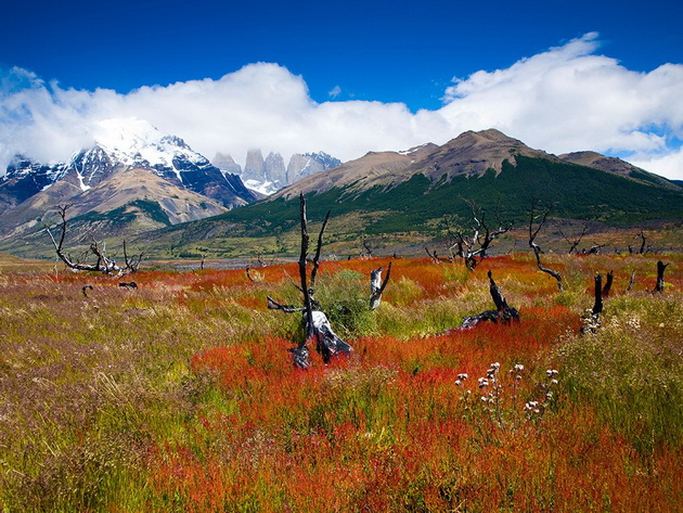 torres-del-paine-national-park-chilean-patagonia-jason-friend-alamy.jpg