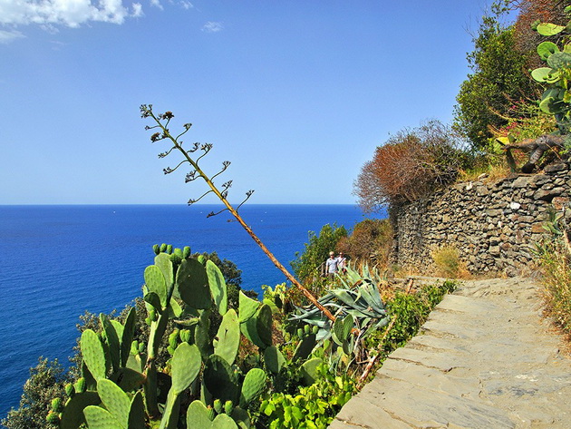 vernazza-cinque-terra-sentiero-azzuro-italy-Kirk-Treakle-Alamy.jpg