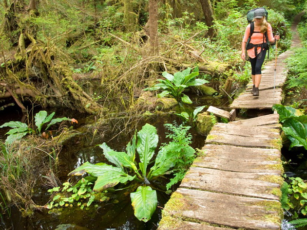 west-coast-trail-vancouver-island-british-columbia-canada-radius-images-getty.jpg