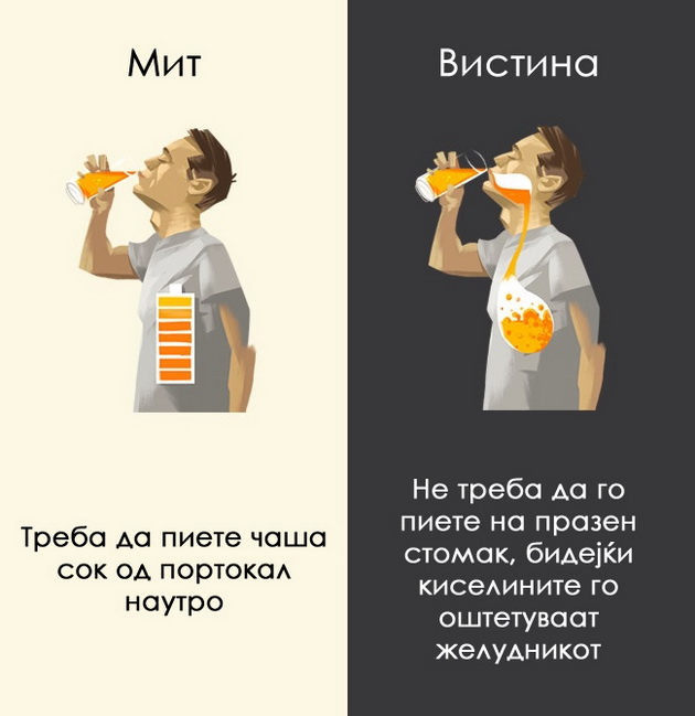 12-mitovi-za-pijalacite-na-koi-morame-da-zaboravime-12.jpg