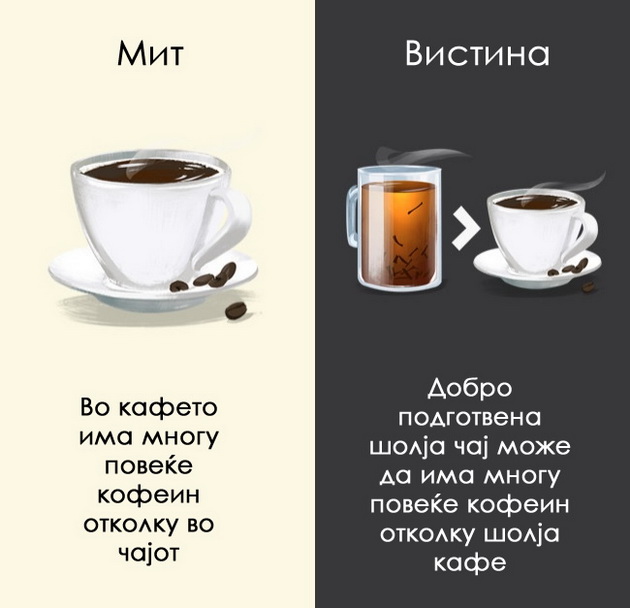 12-mitovi-za-pijalacite-na-koi-morame-da-zaboravime-5.jpg