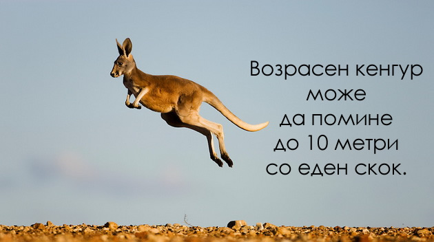 apsolutno-nepotrebni-fakti-2-01.jpg