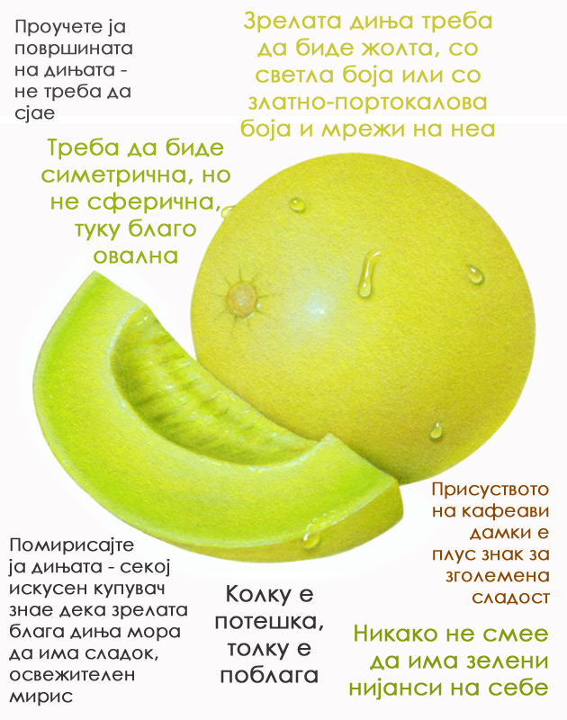 kako-sekogash-da-odbirate-najsocni-dinji-i-lubenici-2.jpg