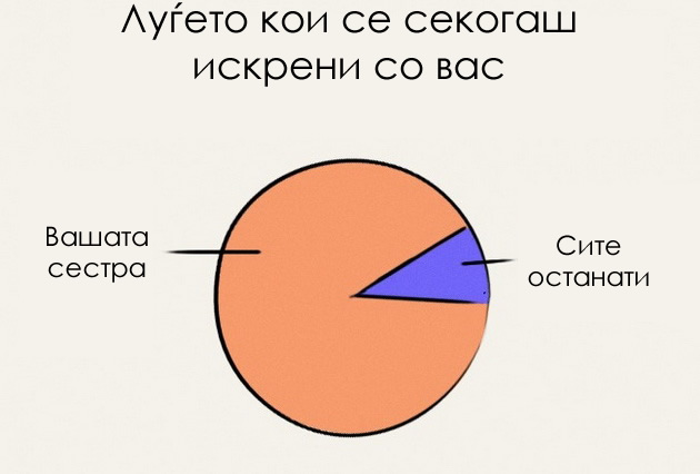 10-dijagrami-koi-sovrseno-go-opisuvaat-zivotot-so-postara-sestra-09.jpg