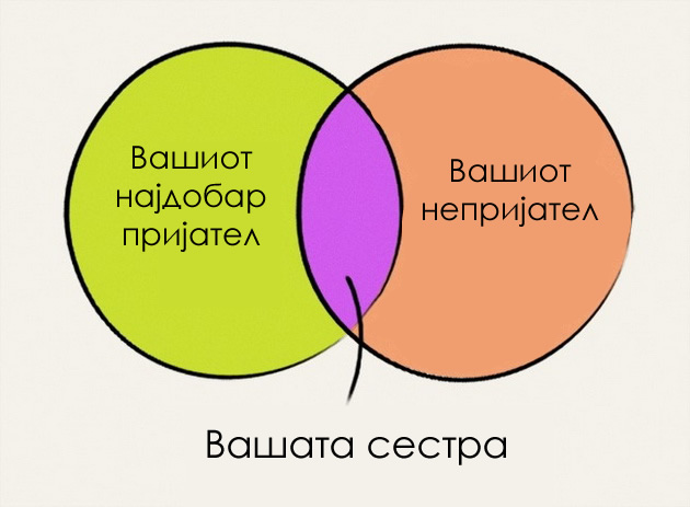 10-dijagrami-koi-sovrseno-go-opisuvaat-zivotot-so-postara-sestra-10.jpg
