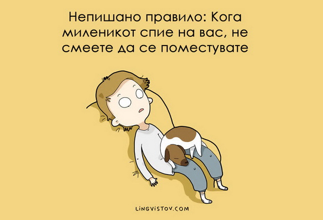 ilustracii-10-raboti-koi-kje-gi-razberat-samo-sopstvenicite-na-kuce-3.jpg