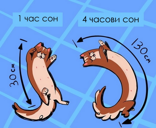 ilustracii-14-zakoni-po-koi-se-vodat-mackite-010.jpg
