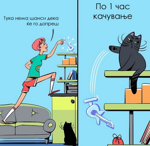 ilustracii-14-zakoni-po-koi-se-vodat-mackite-11.jpg