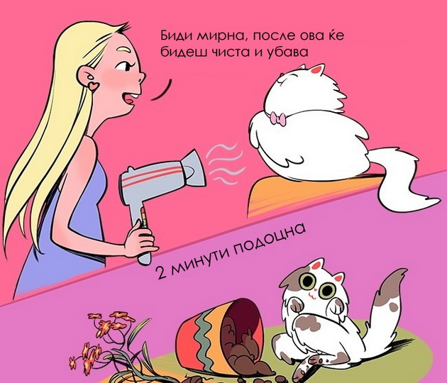 ilustracii-14-zakoni-po-koi-se-vodat-mackite-6.jpg