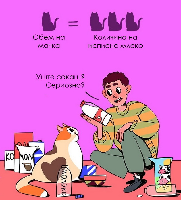 ilustracii-14-zakoni-po-koi-se-vodat-mackite-7.jpg