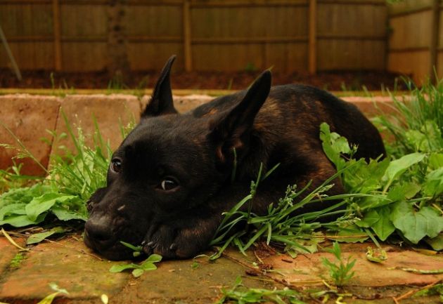 24-raboti-sto-treba-da-gi-napravite-dodeka-se-uste-ste-mladi-06